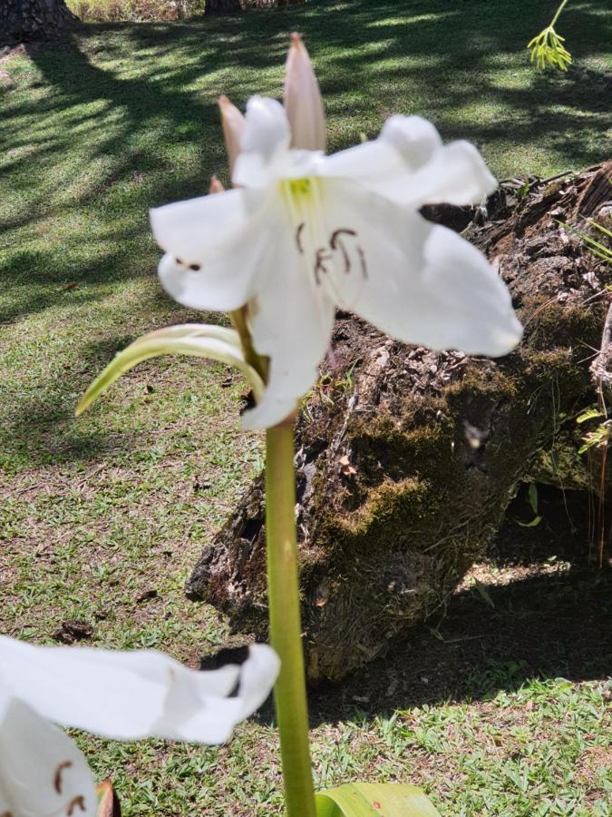 Recanto Das Borboletas São Roque エクステリア 写真