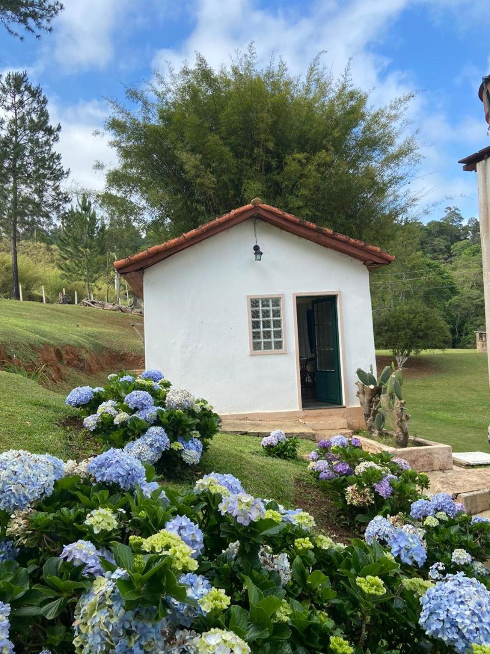 Recanto Das Borboletas São Roque 部屋 写真